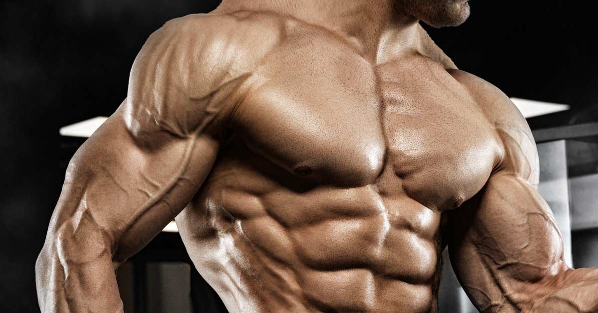Muscle creatine Muscle creatine